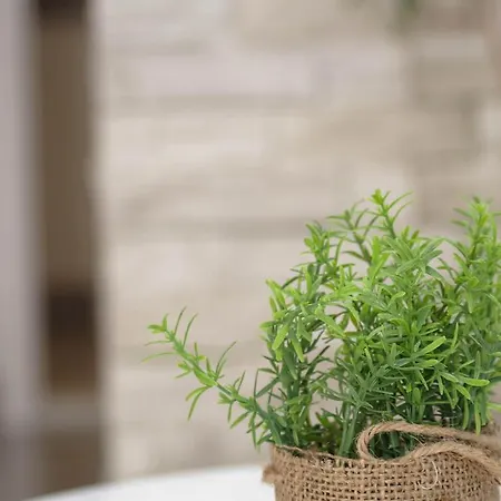 Διαμέρισμα Jagoda